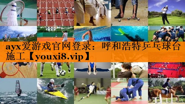 呼和浩特乒乓球台施工 呼和浩特乒乓球台施工